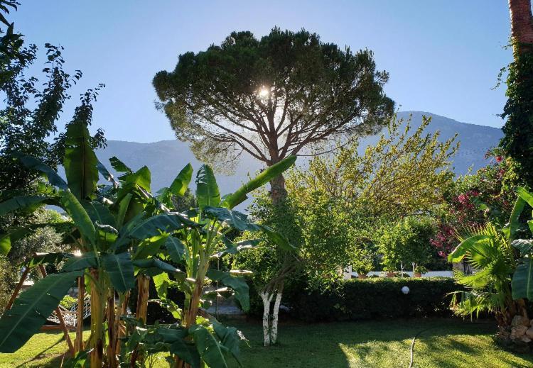 Gokcen Apartments Ölüdeniz Buitenkant foto